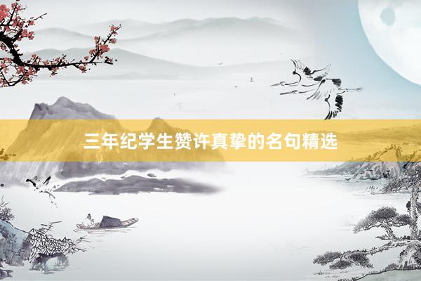 三年纪学生赞许真挚的名句精选