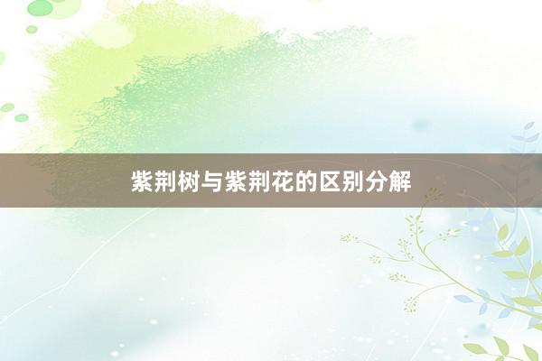 紫荆树与紫荆花的区别分解