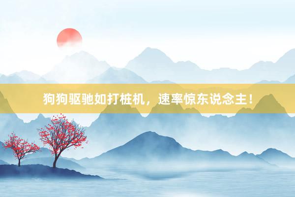 狗狗驱驰如打桩机,速率惊东说念主!