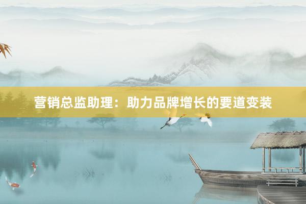 营销总监助理：助力品牌增长的要道变装